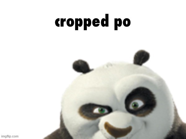 image tagged in cropped po | made w/ Imgflip meme maker