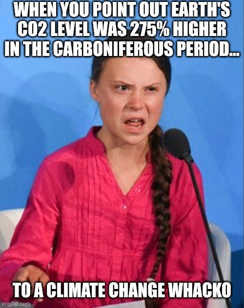 Ever notice atmospheric gasses are apparently "not allowed" to ever change per liberals, but gender can change daily?!? | WHEN YOU POINT OUT EARTH'S CO2 LEVEL WAS 275% HIGHER IN THE CARBONIFEROUS PERIOD... TO A CLIMATE CHANGE WHACKO | image tagged in greta thunberg how dare you,liberal hypocrisy,climate change,insanity,liberal logic,stupid people | made w/ Imgflip meme maker