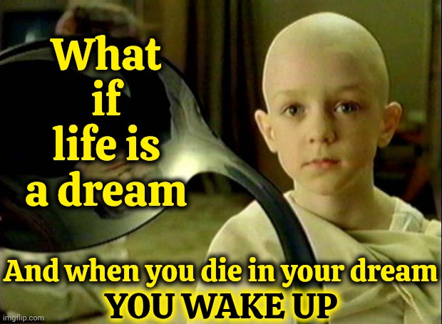 Life Could Be A Dream If I Could Take You Up In Paradise Up Above. Sh-Boom Sh-Boom Ya Ya Dadada Life Could Be A Dream Sweetheart | What if life is a dream; And when you die in your dream; YOU WAKE UP | image tagged in spoon matrix,life could be a dream,living the dream,i have a dream,follow your dreams,wait what | made w/ Imgflip meme maker