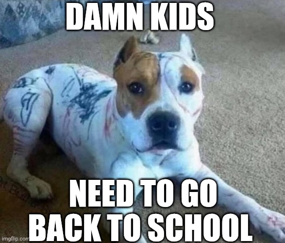 Damn Kids Need To Go Back To School | DAMN KIDS; NEED TO GO BACK TO SCHOOL | image tagged in chrisjoines1 | made w/ Imgflip meme maker