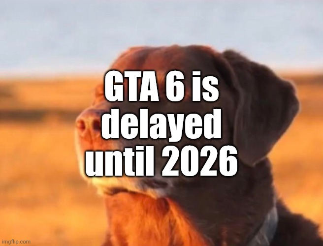 Dog accepting fate | GTA 6 is delayed until 2026 | image tagged in dog accepting fate | made w/ Imgflip meme maker