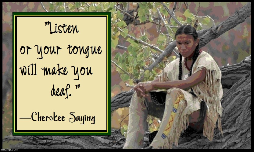 This brave refers to running your mouth and not listening | image tagged in vince vance,native american,quote,cherokee,brave,indians | made w/ Imgflip meme maker