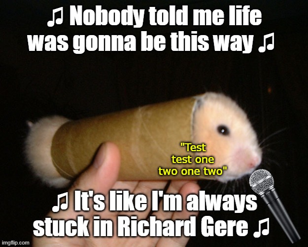 Animal "Testing" | "Test test one two one two" | image tagged in gerbil richard gere meme | made w/ Imgflip meme maker