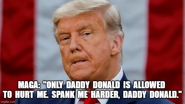 Why They Love Him | MAGA:  "ONLY  DADDY  DONALD  IS  ALLOWED  TO  HURT  ME.  SPANK  ME  HARDER,  DADDY  DONALD." | image tagged in oof | made w/ Imgflip meme maker