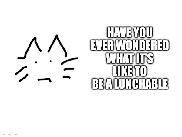 HAVE YOU EVER WONDERED WHAT IT’S LIKE TO BE A LUNCHABLE | made w/ Imgflip meme maker