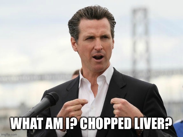 gavin newsome | WHAT AM I? CHOPPED LIVER? | image tagged in gavin newsome | made w/ Imgflip meme maker