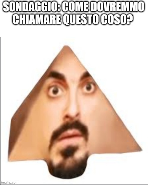 SONDAGGIO: COME DOVREMMO CHIAMARE QUESTO COSO? | made w/ Imgflip meme maker