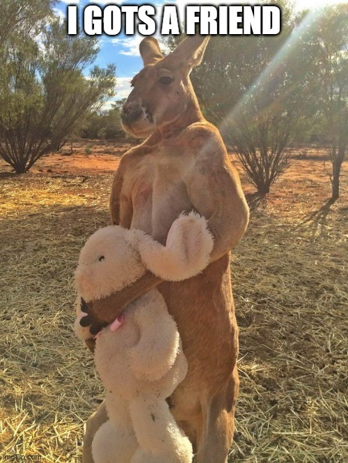 KangaBunny | I GOTS A FRIEND | image tagged in bunnies | made w/ Imgflip meme maker