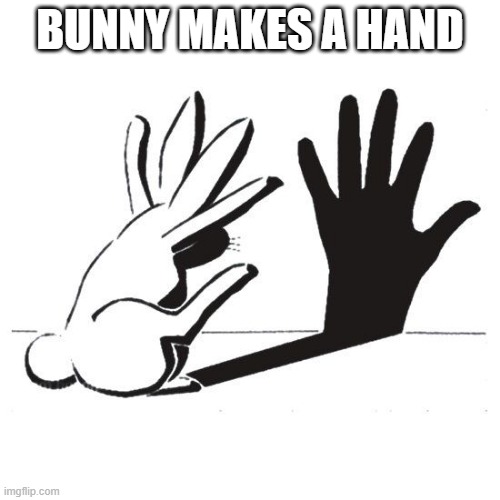 Shadow Bunny | BUNNY MAKES A HAND | image tagged in bunnies | made w/ Imgflip meme maker