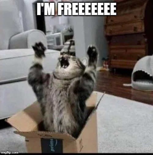Free | I'M FREEEEEEE | image tagged in cats | made w/ Imgflip meme maker