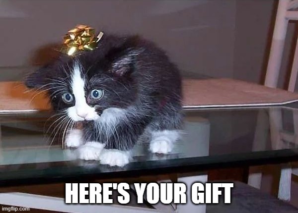 Gift | HERE'S YOUR GIFT | image tagged in cats | made w/ Imgflip meme maker
