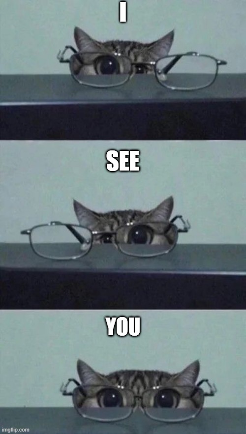 I See You | I; SEE; YOU | image tagged in cats | made w/ Imgflip meme maker