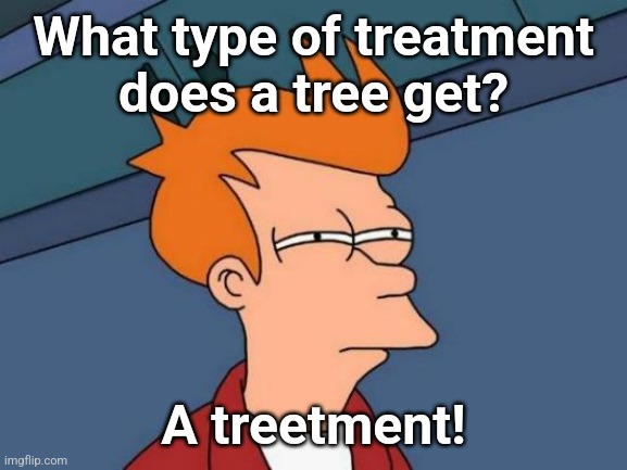 Futurama Fry | What type of treatment
does a tree get? A treetment! | image tagged in memes,futurama fry | made w/ Imgflip meme maker