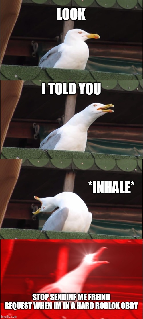 Roblox | LOOK; I TOLD YOU; *INHALE*; STOP SENDINF ME FREIND REQUEST WHEN IM IN A HARD ROBLOX OBBY | image tagged in memes,inhaling seagull,roblox meme | made w/ Imgflip meme maker