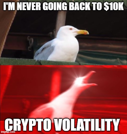 Crypto Volatility | I'M NEVER GOING BACK TO $10K; CRYPTO VOLATILITY | image tagged in cryptocurrency,web3 | made w/ Imgflip meme maker