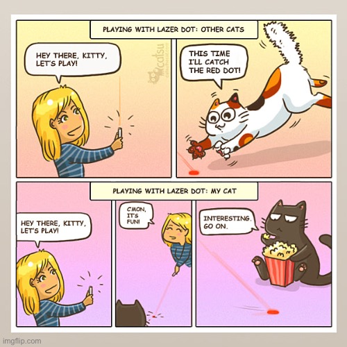 image tagged in cats,laser pointer,other peoples cats | made w/ Imgflip meme maker