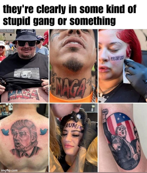 as found on the internet | made w/ Imgflip meme maker