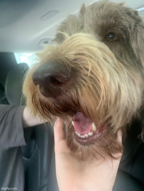 Rate this pic of Brandy | made w/ Imgflip meme maker