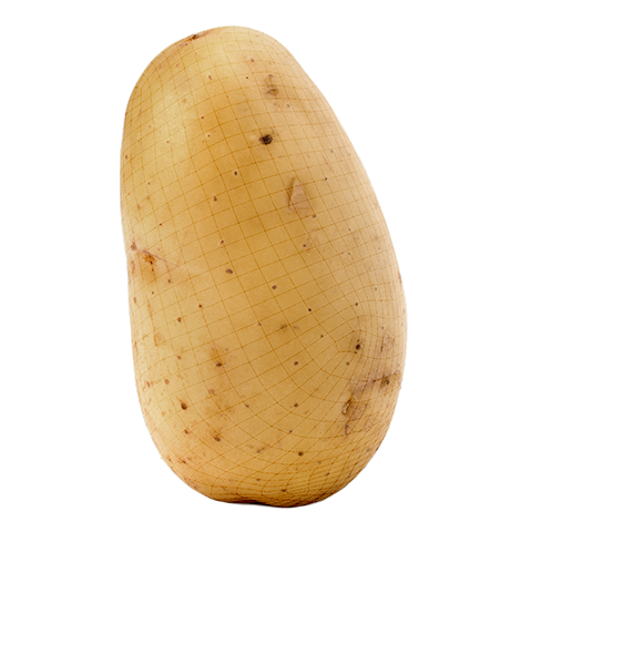 Potato Blank Meme Template