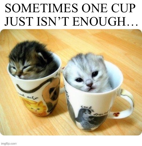 SOMETIMES ONE CUP 
JUST ISN’T ENOUGH… | image tagged in cats,cute kittens,coffee cups | made w/ Imgflip meme maker