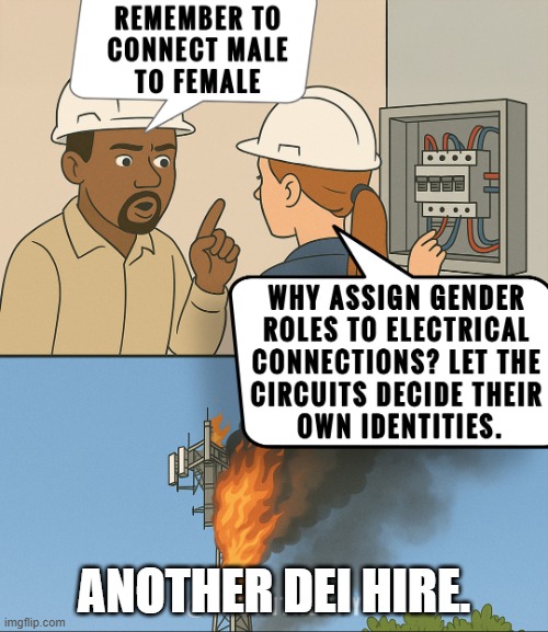Another DEI Hire | ANOTHER DEI HIRE. | image tagged in another dei hire | made w/ Imgflip meme maker