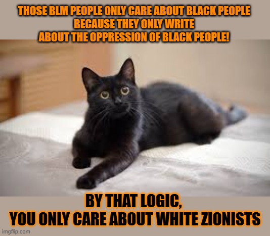 This #lolcat wonders why hoo-mens think others only care about their own kind | THOSE BLM PEOPLE ONLY CARE ABOUT BLACK PEOPLE 
BECAUSE THEY ONLY WRITE 
ABOUT THE OPPRESSION OF BLACK PEOPLE! BY THAT LOGIC, 
YOU ONLY CARE ABOUT WHITE ZIONISTS | image tagged in racism,blm,zionism,conservative logic,lolcat | made w/ Imgflip meme maker