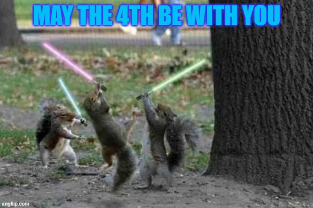 May the 4th be with you | MAY THE 4TH BE WITH YOU | image tagged in may the 4th,star wars,squirrels,squirrel,light saber,science fiction | made w/ Imgflip meme maker