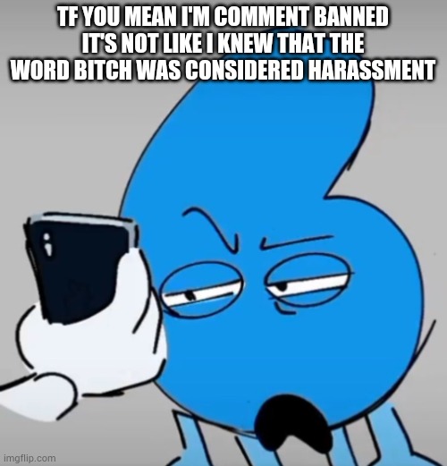 ts banana bonkers | TF YOU MEAN I'M COMMENT BANNED IT'S NOT LIKE I KNEW THAT THE WORD BITCH WAS CONSIDERED HARASSMENT | image tagged in six looks at your phone | made w/ Imgflip meme maker