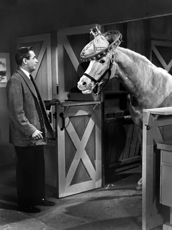 Mr Ed May the horse be with you Blank Meme Template