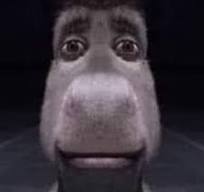Donkey Stare Blank Meme Template