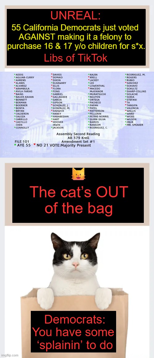 BEYOND Obvious to Those Paying Attention | UNREAL:; 55 California Democrats just voted 
AGAINST making it a felony to 
purchase 16 & 17 y/o children for s*x. Libs of TikTok; 😺; The cat’s OUT 
of the bag; Democrats:
You have some 
‘splainin’ to do | image tagged in leftists,democrats,it's that obvious,smart cat,political humor,proof | made w/ Imgflip meme maker