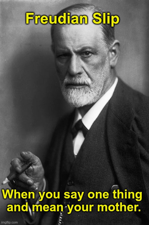 Freudian Slip | Freudian Slip; When you say one thing 
and mean your mother. | image tagged in memes,sigmund freud | made w/ Imgflip meme maker