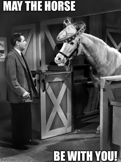 Horse be with you | MAY THE HORSE; BE WITH YOU! | image tagged in mr ed may the horse be with you | made w/ Imgflip meme maker