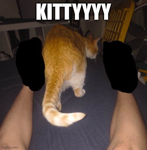 KITTYYYY | made w/ Imgflip meme maker