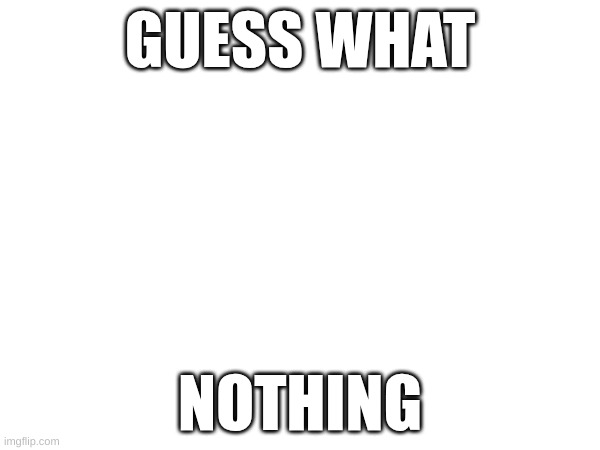 just guess | GUESS WHAT; NOTHING | image tagged in guess | made w/ Imgflip meme maker