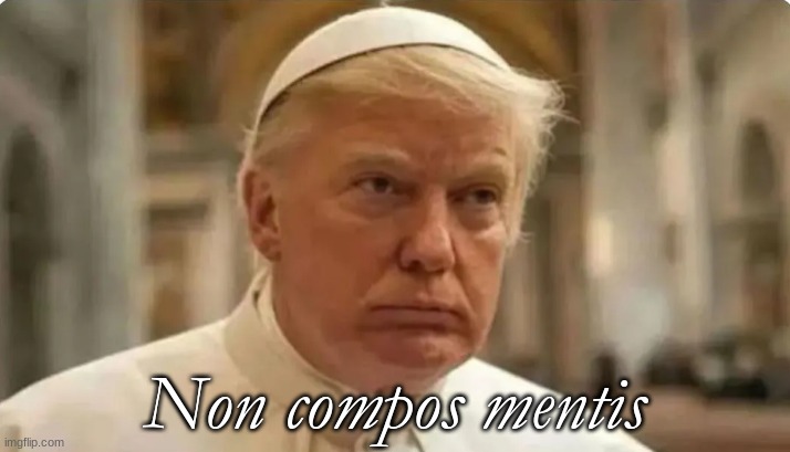 Non compos mentis | made w/ Imgflip meme maker