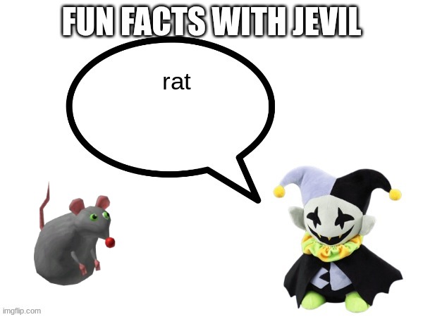 Fun facts with jevil | rat | image tagged in fun facts with jevil | made w/ Imgflip meme maker