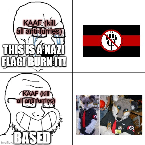 Hypocrisy of furries | KAAF (kill all anti furries); THIS IS A NAZI FLAG! BURN IT! KAAF (kill all anti furries); BASED | image tagged in hypocritical wojak,furry | made w/ Imgflip meme maker