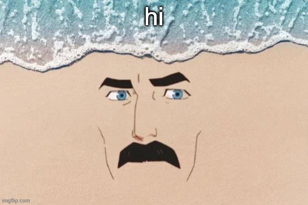 Are You Shore | hi | image tagged in are you shore | made w/ Imgflip meme maker