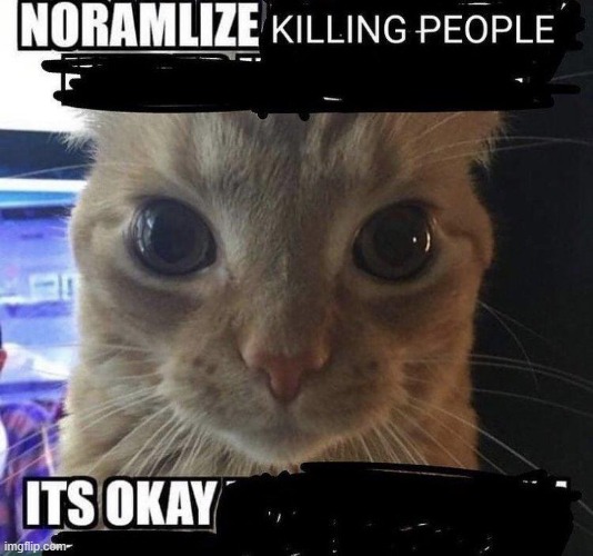 image tagged in normalize killing people its okay cat | made w/ Imgflip meme maker