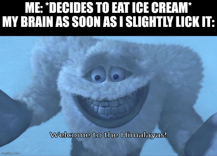 . | ME: *DECIDES TO EAT ICE CREAM*
MY BRAIN AS SOON AS I SLIGHTLY LICK IT: | image tagged in welcome to the himalayas | made w/ Imgflip meme maker
