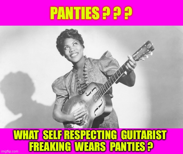 Self Respecting Guitarist !!!  LETS ROCK MOFOS !  : ) | PANTIES ? ? ? WHAT  SELF RESPECTING  GUITARIST 
FREAKING  WEARS  PANTIES ? | image tagged in williams blues female guitarist | made w/ Imgflip meme maker
