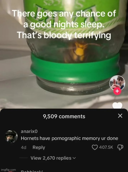 P | made w/ Imgflip meme maker