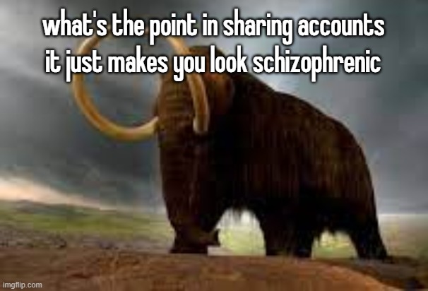 WiseMysticalMammoth 2: Electric Boogaloo | what's the point in sharing accounts it just makes you look schizophrenic | image tagged in wisemysticalmammoth 2 electric boogaloo | made w/ Imgflip meme maker
