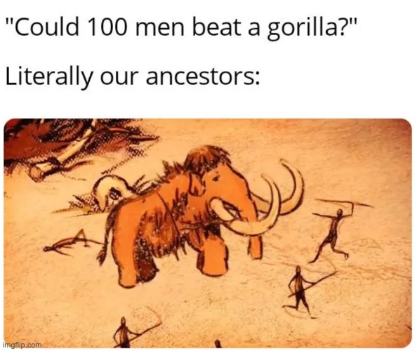 We're clapping that gorilla's ass | made w/ Imgflip meme maker