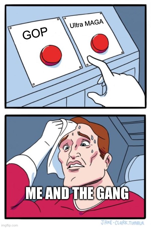 Regular or deluxe? | Ultra MAGA; GOP; ME AND THE GANG | image tagged in memes,two buttons,politics | made w/ Imgflip meme maker
