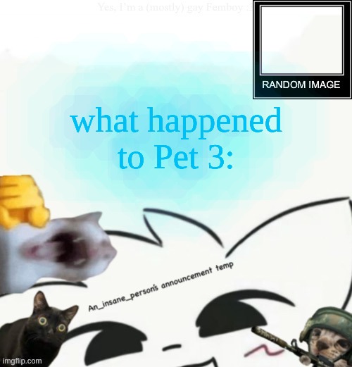 why'd they delete? | what happened to Pet 3: | image tagged in my lil announcement | made w/ Imgflip meme maker