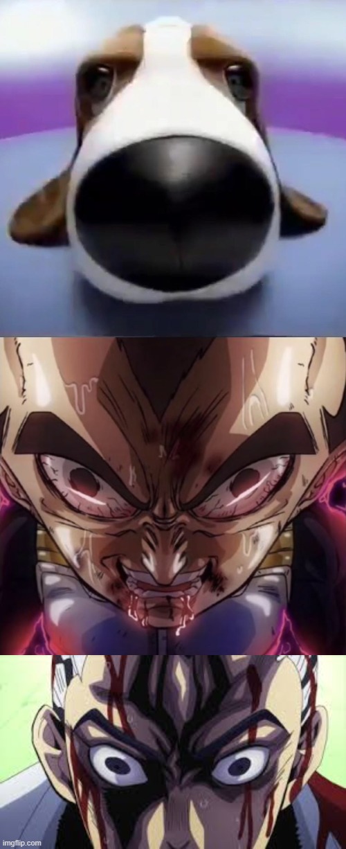 image tagged in staring dog,vegeta stare,kira stares into your soul | made w/ Imgflip meme maker