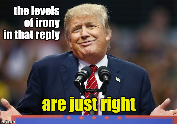 Trump | the levels of irony in that reply are just right | image tagged in trump | made w/ Imgflip meme maker