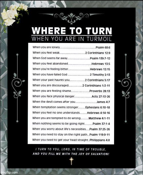 Biblical Verses in times of Need | image tagged in holy bible,finally inner peace,scripture | made w/ Imgflip meme maker